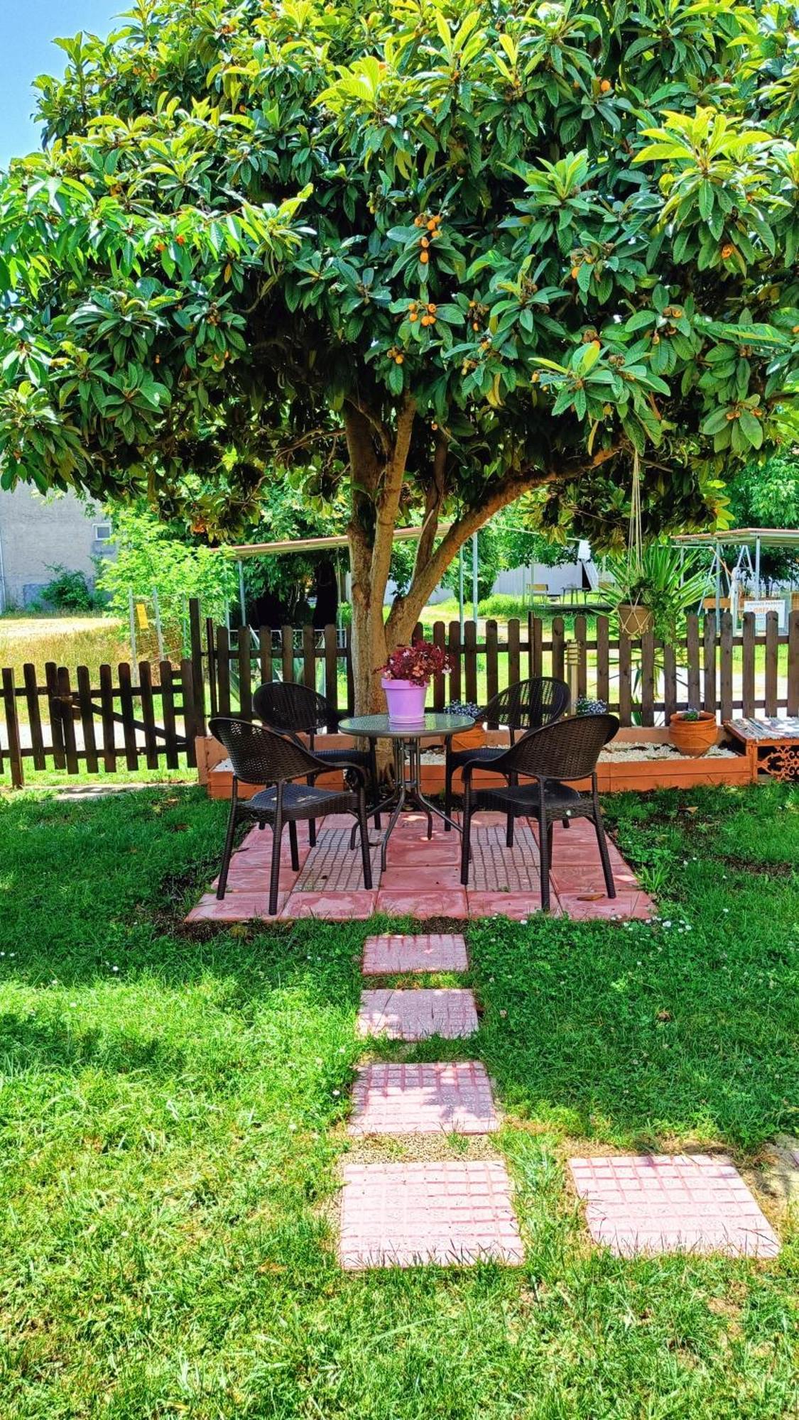 Garden House Katerina Aparthotel Leptokarya  Exteriör bild