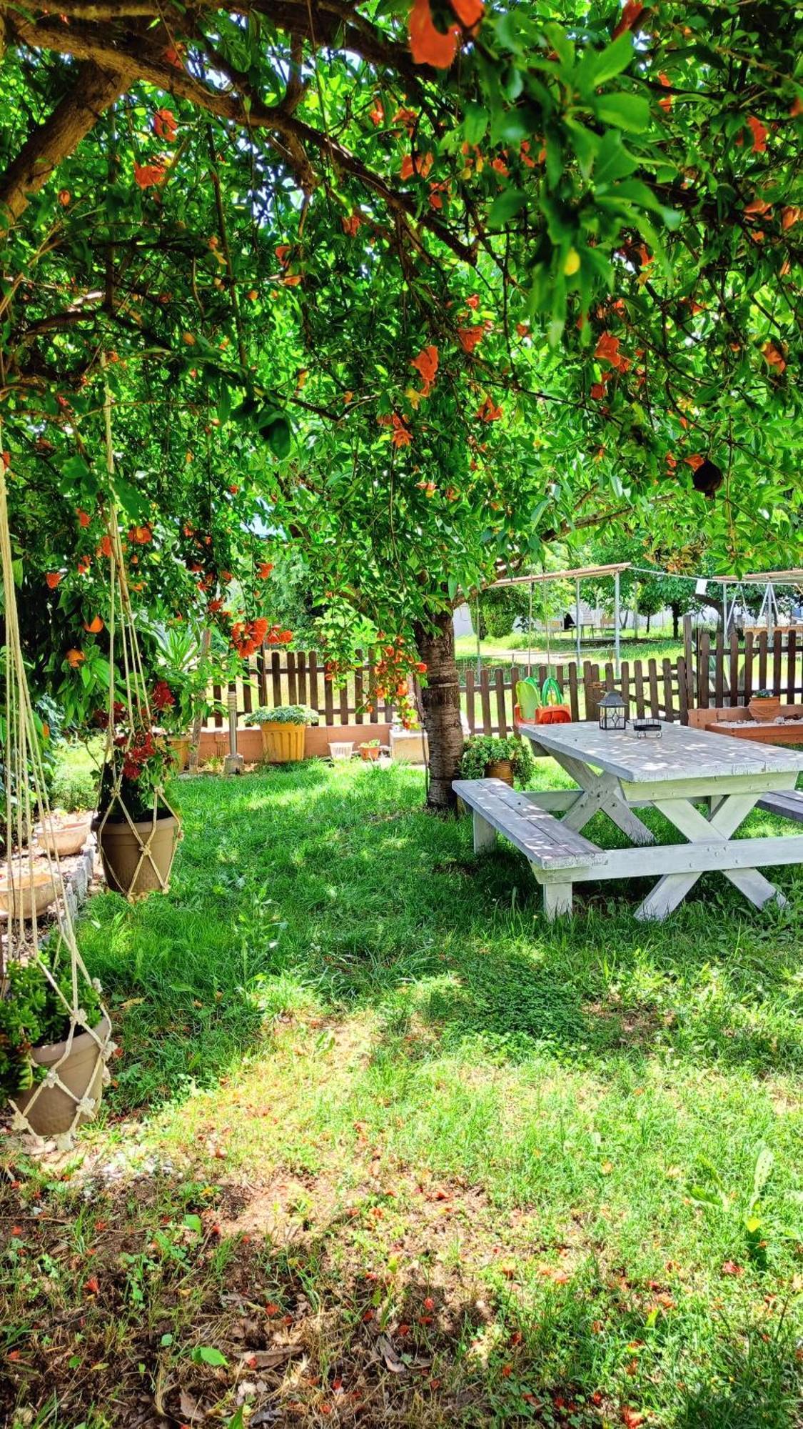 Garden House Katerina Aparthotel Leptokarya  Exteriör bild
