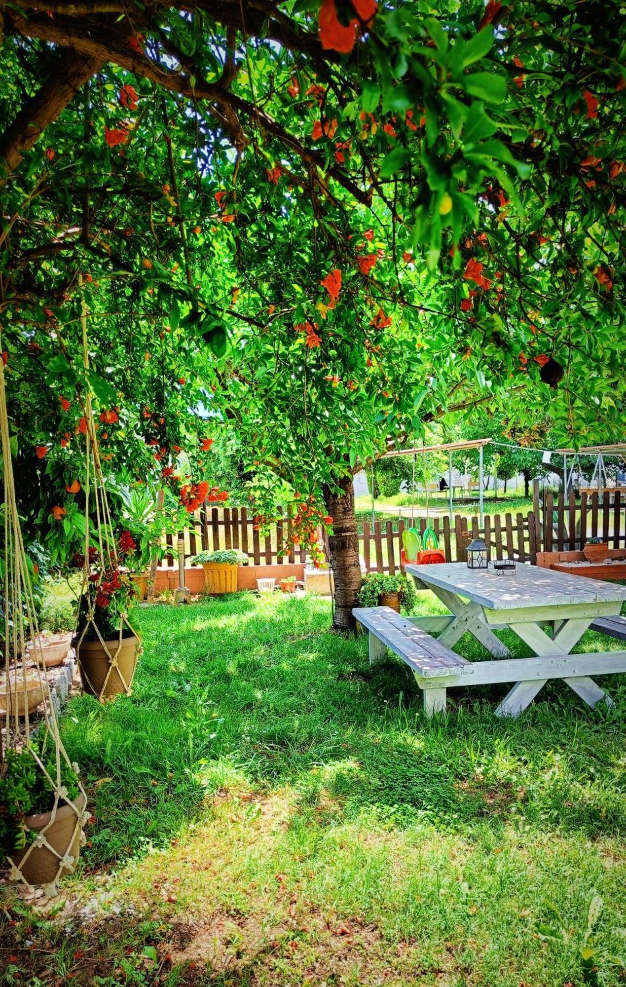 Garden House Katerina Aparthotel Leptokarya  Exteriör bild